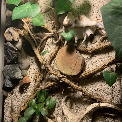 Bedeutungsvolle Steinwand