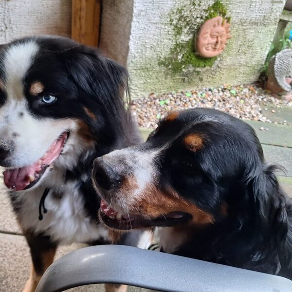 "Die Erde ist das, was wir alle gemeinsam haben."  Wendell Berry