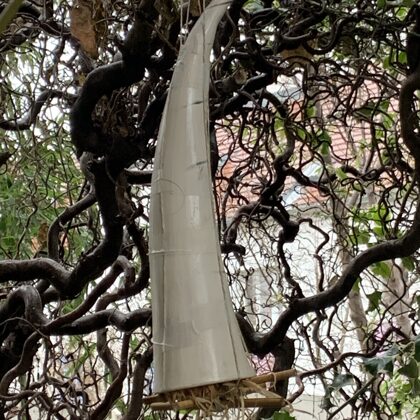 Horn in der Haselnuss