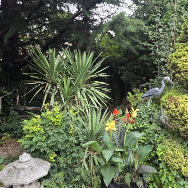 "Wenn du die Natur wirklich liebst, wirst du überall Schönheit finden." Vincent van Gogh