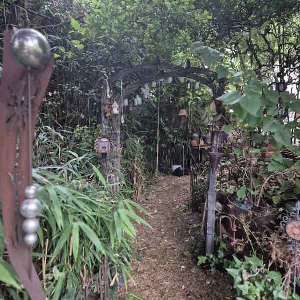 "Der klarste Weg ins Universum führt durch einen wilden Wald." John Muir