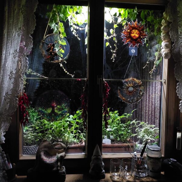 "Was dem Wald passiert, passiert auch den Menschen." Albert Schweitzer