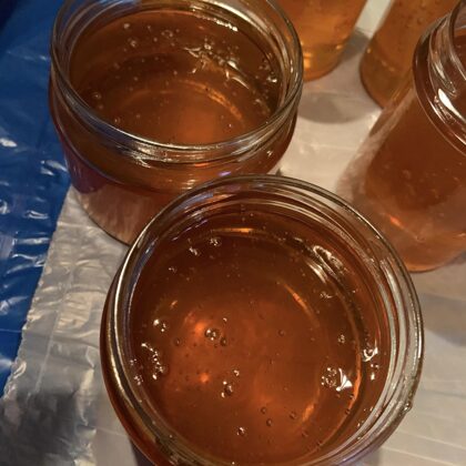 Je tiefer man in die lebendige Natur hineinsieht, desto wunderbarer erkennt man sie.