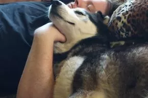Siesta  