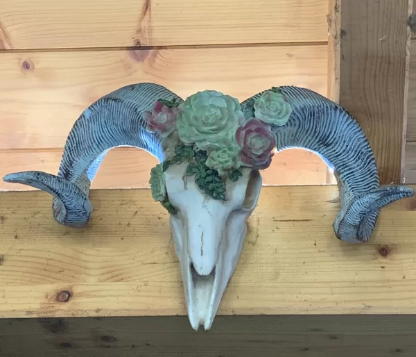 Ein «Horn» ist in der Sprache der Mysterien also eine sehr geheimnisvolle Sache. 