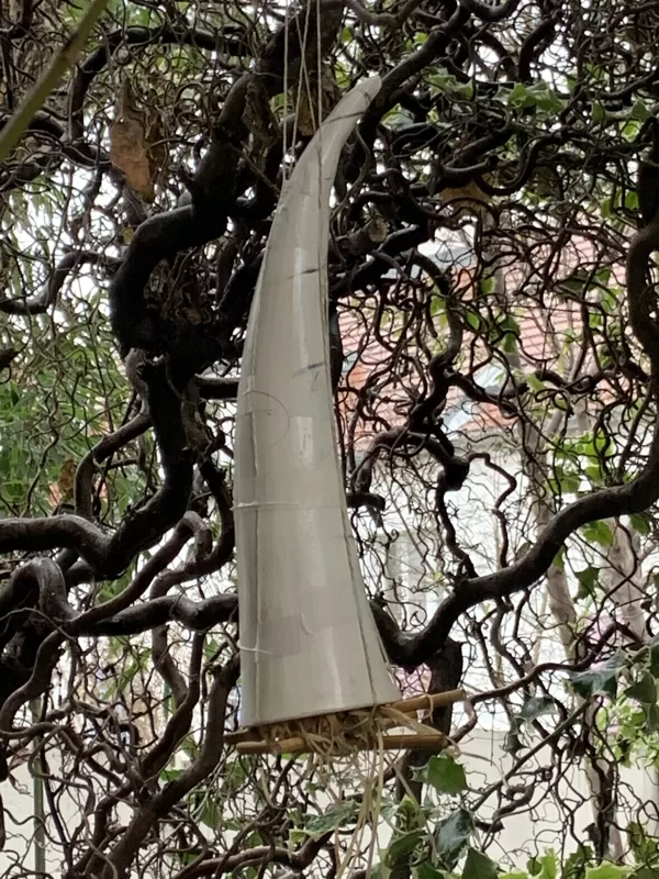 Horn in der Haselnuss