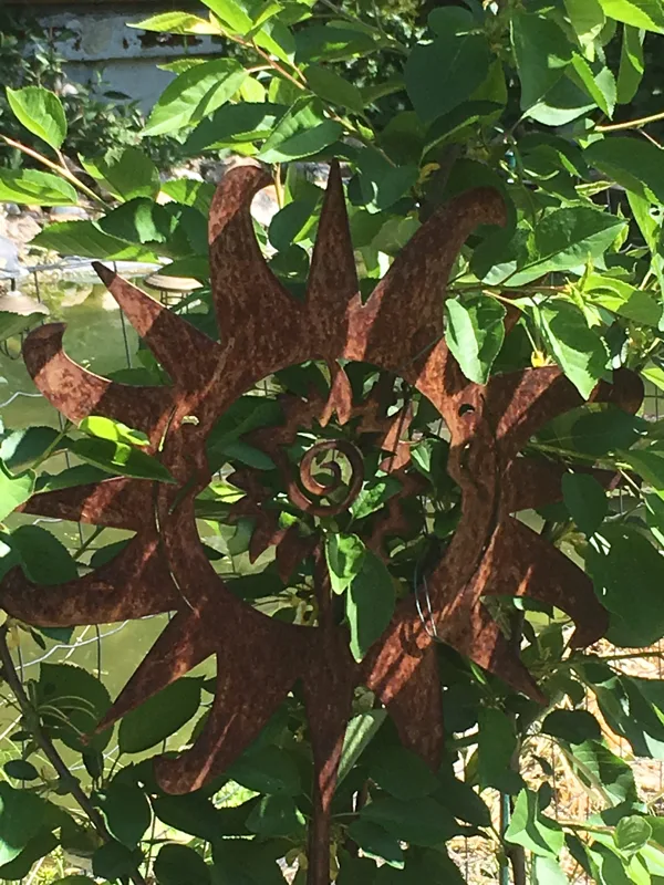 Weichselsonne